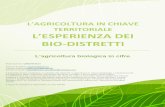 TERRITORIALE L’ESPERIENZA DEI - BIO-DISTRETTObiodistretto.net/.../Bio_in_cifre_2015_biodistretti... · 73 L’agricoltura biologica in cifre Elaborazione L’AGRICOLTURA IN CHIAVE