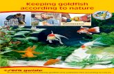 Keeping goldfish according to nature - sera … · Keeping goldfish according to nature Feeding Maintenance Set up an aquarium in 5 steps. 2 Easy-to-keep coldwater fish ..... 4 Special