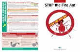 Fire Ant 表1表4NEW - env · 2020-05-17 · If you find an ant colony or nest: Do not poke or step on the ants or nest. Do not spray insecticide or pour hot water over them. Consult