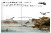 WATERFOWL AND WETLANDS AN INTEGRATED …...WATERFOWL AND WETLANDS AN INTEGRATED REVIEW Proceedings of a symposium held at the 39th Midwest Fish and Wildlife Conference Madison, Wisconsin