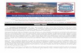 THE SKYCHASER - Civil Air Patrol · 2019-03-27 · The Federal Aviation Administration updated civil aeronautical charts and cleared the Air Force to begin military training flights