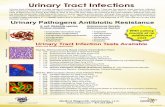 Urinary Tract Infections - Medical Diagnostic …Urinary tract infections are a major cause of morbidity in the United States. They are the second most common infection after respiratory