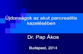 Pancreas endoscopia Dr. Pap Ákos · Endoscopic necrosectomy :transgastric puncture, balloon dilatation, retroperitoneal drainage, and necrosectomy. Surgical necrosectomy :video-assisted