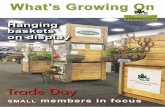 What’s Growing On - Nursery & Garden Industry South ... … · & Gardens has done the regular pests and diseases column for the season. “The publishers Canongate Partners, do