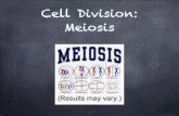 Cell Division: Meiosis - ... 2019/09/01  · and Meiosis II 46 23 23 23 23 23 23 meiosis 1 meiosis 2 Daughter Cells During meiosis, chromosome number in each cell is reduced (reduction