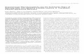 Dopaminergic Microtransplants into the Substantia Nigra of ... · The Journal of Neuroscience, May 1995, 15(5): 3562-3570 Dopaminergic Microtransplants into the Substantia Nigra of