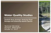 Water Quality Studies - EZview · 2013-11-12 · – Black River Wet Season Non-Point Source TMDL, 7 segments (Coots 1994) – Black River Dissolved Oxygen and Phosphorus TMDL, 3