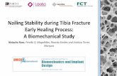 Nailing Stability during Tibia Fracture Early Healing ......High-frequency low-amplitude interfragmentary micromotion regime applied during early healing recovery phase may be an interesting