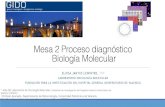 Mesa 2 Proceso diagnóstico Biología · PDF file 3 Red Temática de Investigación Cooperativa en Cáncer (RTICC) ... EGFR TKI NSCLC EGFR Erlotinib EGFR TKI NSCLC, Páncreas EGFR