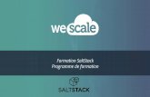 Programme de formation Formation SaltStack · (OpenStack, Azure, Digital Ocean) Programme détaillé de la formation 2. Gestion d’infrastructure - Rédaction des states SLS - Organisation