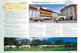 Eslovenia · 46 ESLOVENIA EUROPA 2020 (Mediterránea) 8 días (7 noches de hotel)Clásica desde 1.475 € (AVIÓN NO INCLUIDO) Cód. 04636A LJUBLJANA CABALLOS EN LIPICA Italia Austria