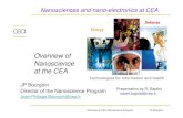 Overview of Nanoscience at the CEA · 2019-04-01 · Overview of CEA Nanoscience Program JP Bourgoin Nanosciences and nano-electronics at CEA JP Bourgoin Director of the Nanoscience
