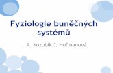 Fyziologie buněčných systémů - Masaryk University · SYLABUS pro studenty 4. ročníkufyziologie živočichůa obecné zoologie, mol. biologie, chemie životního prostředía