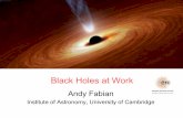 Black Holes at Work · Astrophysical Black Holes have only MASS and SPIN. Astrophysical Black Holes have only MASS and SPIN Event horizon radius is 3 km per Solar mass . Adapted from