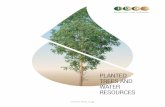 PLANTED TREES AND WATER RESOURCESiba.org/images/shared/Biblioteca/Infographic_Water.pdf · PINE EUCALYPTUS Today, planted trees are the raw material for more than 5,000 products and