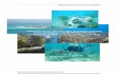 Colocación de tres diferentes tipos de arrecifes …sinat.semarnat.gob.mx/dgiraDocs/documentos/qroo/estudios/...Figura 1. Polígonos del Parque Nacional Costa Occidental de Isla Mujeres,