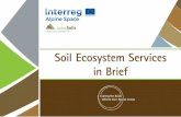 Soil Ecosystem Services in Brief - The Alpine Soils Platform · a global scale. • Provision: Through photosynthesis, carbon is withdrawn from the atmosphere and, via litter and
