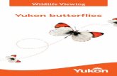 Wildlif e Viewing - YukonButterflies and moths are insects of the order Lepidoptera, meaning scaled wings. The wings are covered with flattened hairs that look like tiny fish scales.