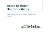 Batch to Batch Reproducibility - Nearchimicaextranet.nearchimica.it/admin/newspdf/batch-to-batch and creases.pdf · Batch-to-Batch Reproducibility • Use the same standard program