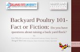 Backyard Poultry 101- Fact or Fiction: Do you have questions about raising a back yard … · 2014-02-26 · Backyard Poultry 101- Fact or Fiction: Do you have questions about raising