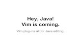 Vim is coming. Hey, Java! · - vim script - go - lots more. Who am I? VIM BEGINNER …? Anybody DOUBT me? Anybody DOUBT me? - That’s right. I’m also Vim plug-in developer. I’m