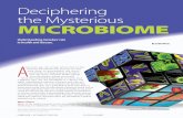 Deciphering the Mysterious MicrobioMe - Borenstein Labelbo.gs.washington.edu/media/IEEE_Pulse_deciphering.pdf · 2016-11-02 · 4 ieee pulse 2154-2287/16©2016Iseptember/october 2016