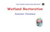 Session 9 หลักการคุ้มครอง ป้องกัน ฟื้นคืนสภาพ ฟื้นฟู และ ......• Wetland restoration should be