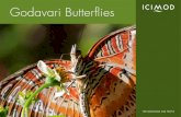 Godavari Butterflies€¦ · Godavari Butterflies This basic guide is organized by family groupings. The purpose is to make it easier to identify the butterflies sighted at ICIMOD