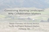 Conserving Working Landscapes: Why Collaboration Matters · 2016-04-04 · Conserving Working Landscapes: Why Collaboration Matters Susan Charnley, ... is important for working landscape