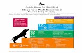 Steps to a Well-Socialized Guide Dog Puppy · 2019-03-13 · Steps to a Well-Socialized Guide Dog Puppy Every puppy develops at a different rate. Raisers should check with their leaders