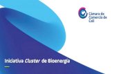 Iniciativa Clusterde Bioenergía - Cámara de Comercio de Cali€¦ · 1 Número de proyectos y actividades* ejecutadas y en ejecución según ... Supersociedades, Confecámaras –Cálculos
