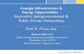 Georgia Infrastructure & Energy Opportunities Innovative ... · Georgia Infrastructure & Energy Opportunities ... projects, college and university projects, retail and hospitality