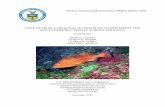 NOAA Technical Memorandum NMFS-SEFSC-699 GULF OF … · 2016-12-16 · noaa technical memorandum nmfs-sefsc-699 gulf of mexico regional action plan to implement the noaa fisheries