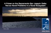 A Primer on the Sacramento-San Joaquin Delta: Not-so-Novel ...More Elephants: Comparing Futures for the Sacramento-San Joaquin Delta Engineers: Jay Lund, UC Davis* William Fleenor,