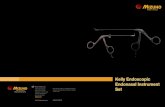 Kelly Endoscopic - New Template€¦ · 07-134-12 Kelly Endonasal Pistol Grip Micro Scissors, Curved Left 14.5cm 06-674-00 Kelly Endoscopic Endonasal Hemostat, 15cm 06-826-00 Mayo-Hegar