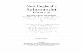 New England‟s Salamander - Squarespacestatic.squarespace.com/.../NewEnglandSalamander.pdf · New England‟s . Salamander . Discovered . By an irreligious and scornful . Pamphlet,