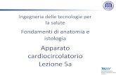 Apparato cardiocircolatorio Lezione 5a · Lezione 5a •Nome •Tipo di organo: (cavo/parenchimatoso. Pari/dispari) •Derivazione embriologica (endo-meso-ecto-dermico) •Forma e