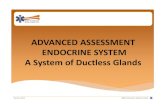 ADVANCED ASSESSMENT ENDOCRINE SYSTEM A ......Adrenal cortex: makes 28 steroid hormones and is linked with cholesterol Aldosterone (mineralocorticoid) Causes Na+ absorption and excretion