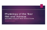 Physiology of the Tear Film and Adnexa Magrane 2018 · PDF file 06/06/2018  · Control of the Tear Film Traditional View Tears are due to intrinsic lacrimal gland activity and only