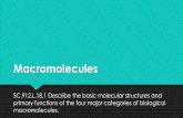Macromolecules - Weebly · 2018-04-06 · Macromolecules SC.912.L.18.1 Describe the basic molecular structures and ... Contain carbon, hydrogen, oxygen, nitrogen, and sometimes sulfur