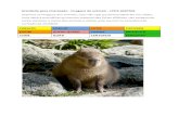 Atividade para impressão - Imagens de animais - LPO2 03ATS02 … · 2018-11-20 · Atividade para impressão - Imagens de animais - LPO2_03ATS02 Imprima as imagens dos animais, caso