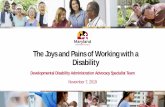The Joys and Pains of Working with a Disability - DORS Home€¦ · The Joys and Pains of Working with a Disability Developmental Disability Administration Advocacy Specialist Team