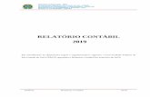 RELATÓRIO CONTÁBIL 2019€¦ · Departamento de Contabilidade e Finanças - DCF Divisão de Contabilidade - DICONT UFRGS Relatório Contábil 2019 RELATÓRIO CONTÁBIL 2019 Em ...