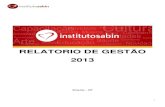 RELATORIO DE GESTÃO 2013 - Instituto Sabin · 2016-04-26 · 4 1. Apresentação O Instituto Sabin é uma OSCIP - Organização da Sociedade Civil de Interesse Público - que coordena