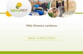 Pôle finance carbonejatroref.iram-fr.org/IMG/pdf/Presentation_JatroREF... · La finance carbone ’est un proessus de ertifiation de longue durée visant à générer des « crédits