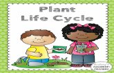 Plant Life Cycle - Gengras Center · grow and produce flowers. This is the flower stage of a plant’s life cycle. Plant Life Cycle ns t flaps or of ite seed sprout seedling plant