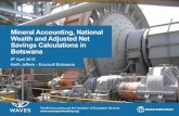 Mineral Accounting, National Wealth and Adjusted Net ... · Mineral Rents The concept of mineral rents is central to mineral accounts, the valuation of mineral assets & depletion