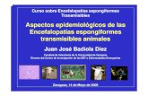 Aspectos epidemiológicos de las Encefalopatías ...BOVINA Enfermedad neurodegenerativa causada por priones que afecta a bovinos adultos, de evolución fatal y que es transmisible