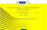 Su pport to SMEs - Inc reasing Research and vatio MEs W De ...ec.europa.eu/.../docgener/evaluation/pdf/expost2013/wp2_case_stud… · MEs vatio Deve ork De ramme and Cas tion of ng
