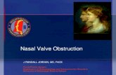 J RANDALL JORDAN, MD, FACSmissoto.org/...MSO_6_2014_Nasal_Valve_Obstruction.pdf · Surgical interventions for nasal valve collapse • Spreader grafts • Autospreader flaps • Crural